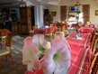 Pirina Club Hotel